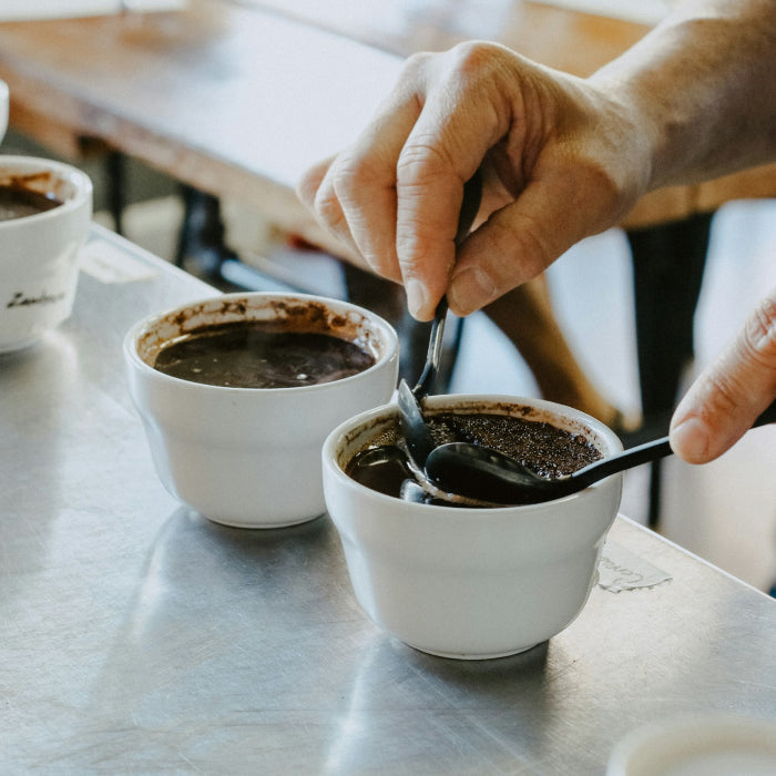 Coffee cupping: Discover the world of flavour with Hutsul Coffee