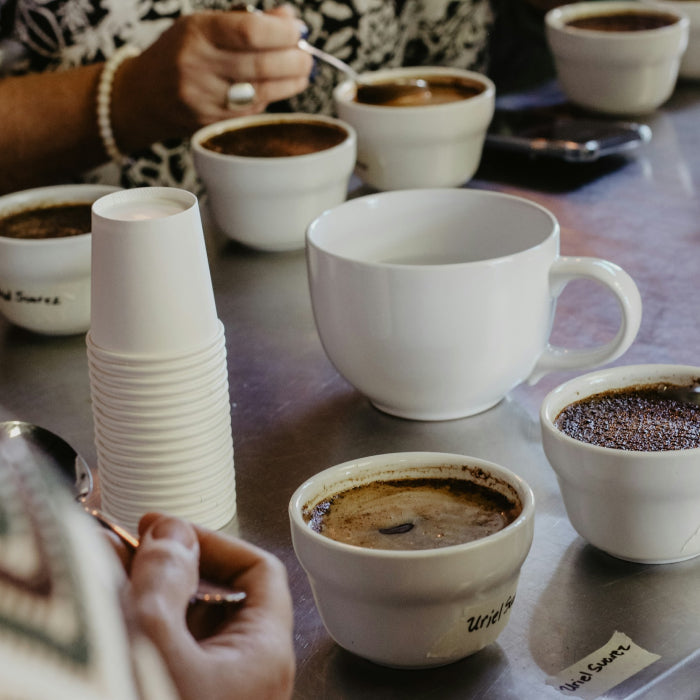 Coffee cupping: Discover the world of flavour with Hutsul Coffee