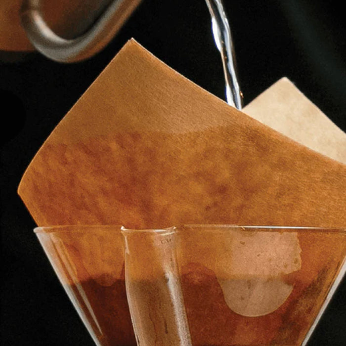 CHEMEX® Filter Squares (100-Pack)