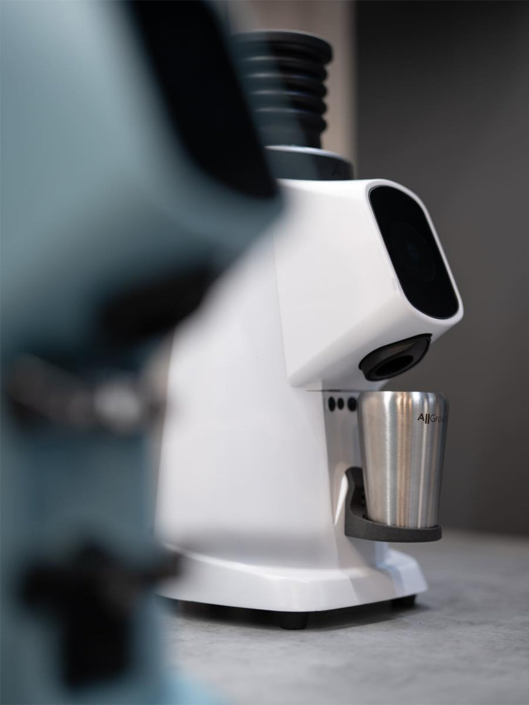 FIORENZATO AllGround ProBrew Coffee Grinder (120V)