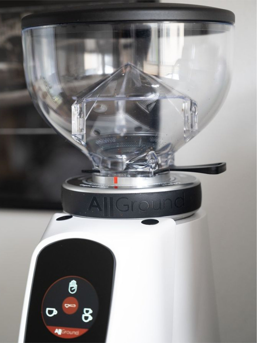 FIORENZATO AllGround Coffee Grinder (120V)